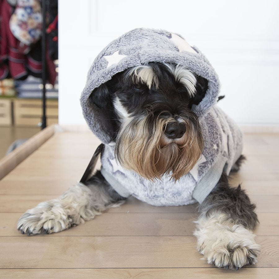 Outech Fleece Sudadera Gris con Estampado de Estrellas para perros, , large Imagen numero 6